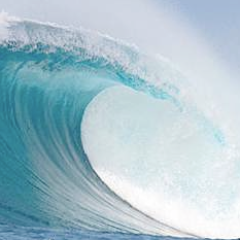 prairiesurfclub's profile picture. Surfer? Interested in surfing? Join us in Facebook to ask questions, to organise surf trips or to just connect with other land-locked surfers.