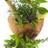 organic_wales's profile image