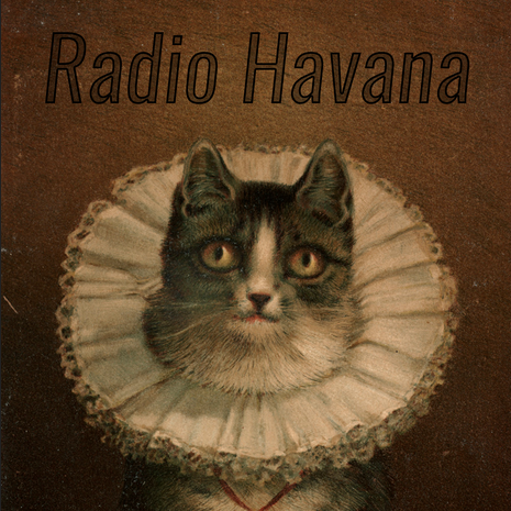 The official unofficial Twitter for Radio Havana. We're all just silly little Fellas here. Toddler Billionaire Addendum: This is a parody/satire account.