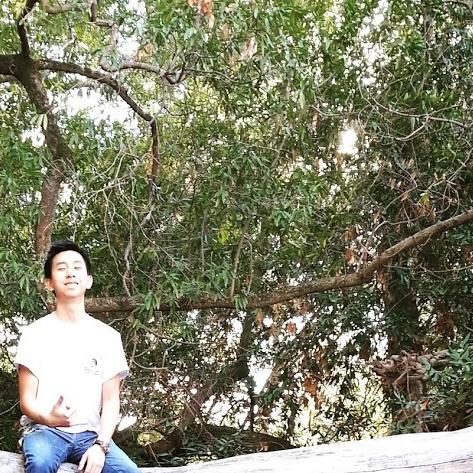 secretoverflow's profile picture. 