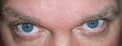 catboxsushi's profile picture. 