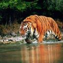 Javier MelgarQuevedo - @JavierMelgarQ - Twitter