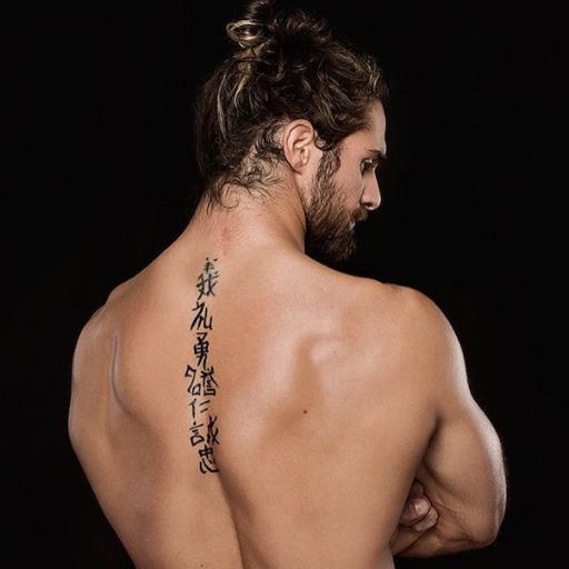 This Twitter belongs to http://t.co/yJATlP34uB - Follow @SethRollinsCOM for the latest updates on @WWERollins