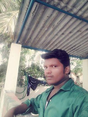 ManiKan31816397's profile picture. 