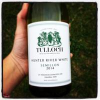 Tulloch Wines (@tullochwines) 's Twitter Profile