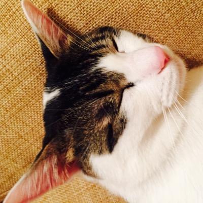 ホワイトカラーデスクワーク管理職。