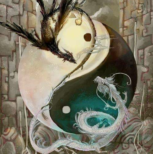 pauliefit's profile picture. Executive Chef at Pigalle Restaurant, Cape town