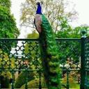 Eva Bernabe - @evitaber40 - Twitter