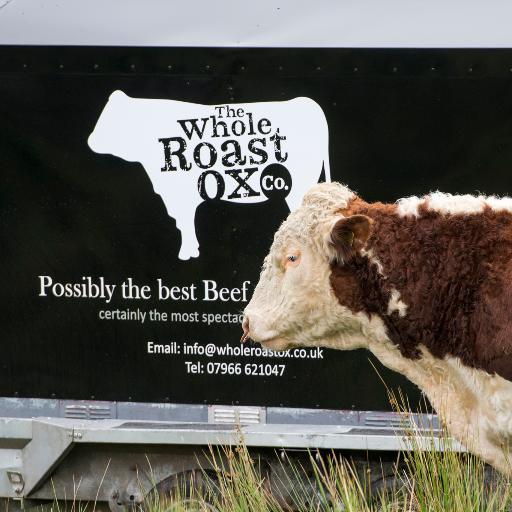 A unique catering option for large weddings, parties, festivals, corporate events and business. A Whole Roast Ox; grass fed premium quality slow roasted beef.