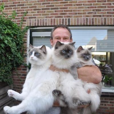 Advaneckboefje7's profile picture. 25 jaar werkzaam geweest in de wegenbouw