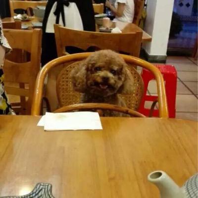 honeysam13's profile picture. 