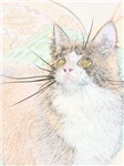 cool stuff for cool cat lovers.  gifts, shopping, resources, all cat all the time. meow