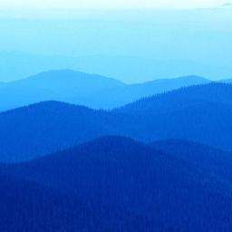 natty00711's profile picture. 