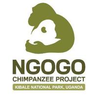 Ngogo Chimpanzee Project(@ngogochimps) 's Twitter Profile Photo