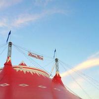 Circus Flora (@circusflora) 's Twitter Profile