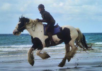 K_K1386's profile picture. 