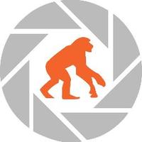 Media Monkeys Pro (@mediamonkeyspro) 's Twitter Profile