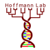 Hoffmann Lab (@hoffmann_lab) Twitter profile photo Hoffmann Lab (@hoffmann_lab) Twitter profile photo