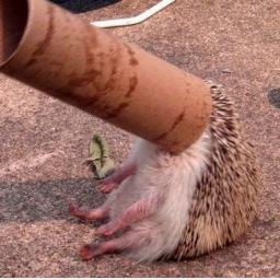 Interesantais Viļakas novada darbībā, kā viss notiek pa draugam, tiekšanās pēc varas un kā tas ietekmē novadu. Sekojiet un uzziniet vairāk. ;)