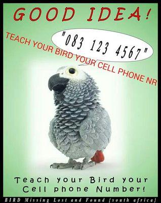SOUTH AFRICA - Help find owners find their lost birds again.
https://t.co/5dmMJeKPob… Please follow me on Facebook.