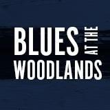 New blues music venue, featuring the best in British, European and American blues acts. Are purpose to keep music live!