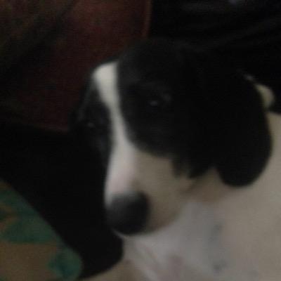 MathewGarman's profile picture. Roblox