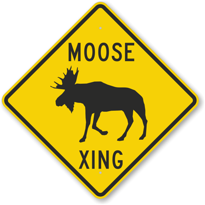 moosegps Profile Picture