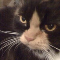 oua:) (@oua) 's Twitter Profile