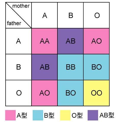 血液型別の性格をツイートします♪あるある♪って思ったらRTして下さいね☆