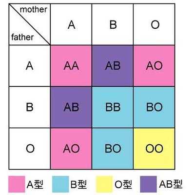 血液型別性格診断 4azxcvbnmasdfg3 Twitter