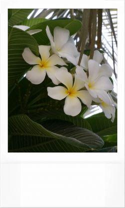 MM154MM's profile picture. 