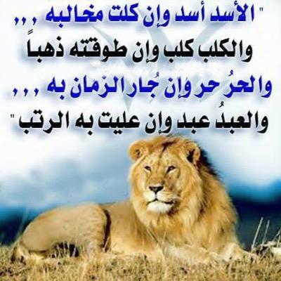 Halicompany1's profile picture. 