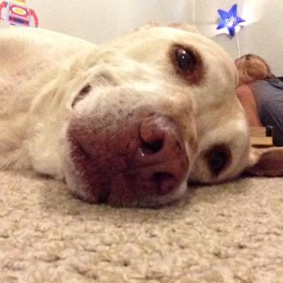 timothyofrank's profile picture. 