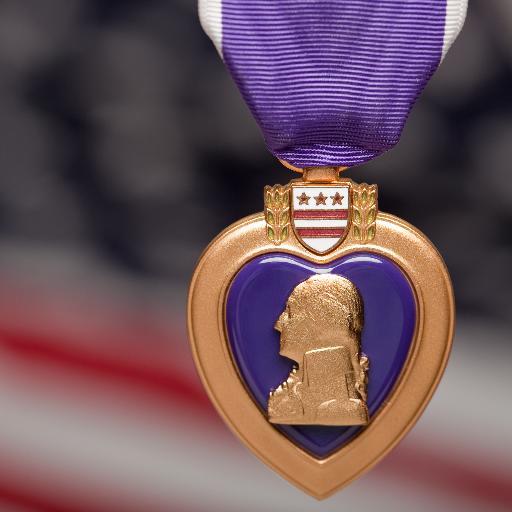 Military Order of the Purple Heart Department of Arizona.  We foster an environment of goodwill and camaraderie among Combat Wounded Veterans in Arizona.