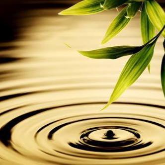 From little ripples, large currents flow. CBR/GovHack/Syd Uni social enterprise created by millenials to increase engagement on decisions that shape nations