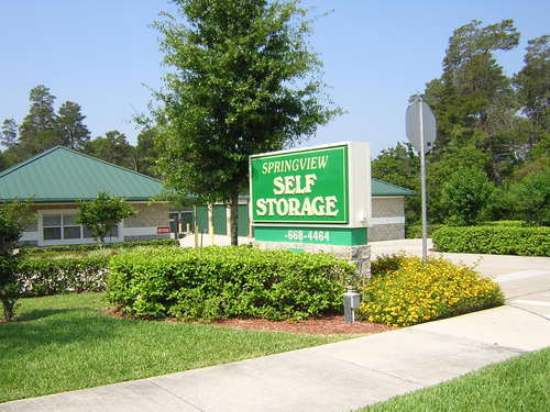 springviewss's profile picture. 