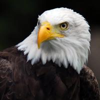 heine kapp (@heinekapp) 's Twitter Profile Photo heine kapp (@heinekapp) 's Twitter Profile Photo