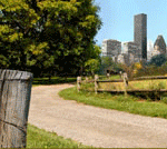 ArkAgriTourism's profile picture. Established in 2008, this partnership of mulitple state agencies seeks to connect rural and urban Arkansas.