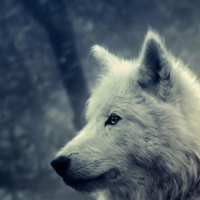 aspnetcode's profile picture. Müslüman
Türk
Osmanlı Torunu