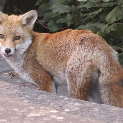 annelee45's profile picture. a