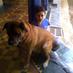 Meghna Bal (@balmeghna) Twitter profile photo Meghna Bal (@balmeghna) Twitter profile photo