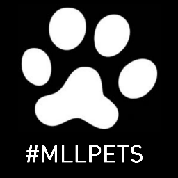 mllpets Profile Picture