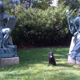 Teacher / Lehrerin/ Mentor/ Book reviewer/ I love dogs, languages, books and music