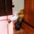 mie_HD