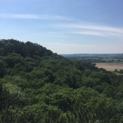 RestoreOurWorld's profile picture. 