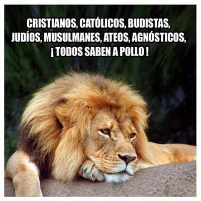 jesdacar67's profile picture. Hunting my dreams