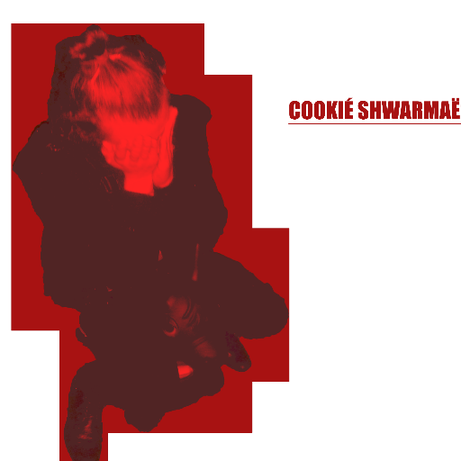 We are Cookié Shwarmaë', an indie-hipster-core-duo from everywhere: We are vegans, active with PETA and Greenpeace, hate all people and worship Pop-Culture 🎧