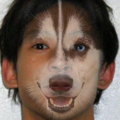 boundaryline326's profile picture. はい  つぶやきヨシー