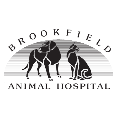 BrookfieldAH's profile picture. We, at Brookfield Animal Hospital, strive to provide excellence in veterinary care, offering state of the art medical and surgical treatment options