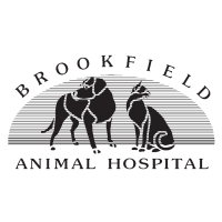 Brookfield Animal(@BrookfieldAH) 's Twitter Profile Photo